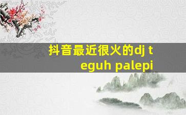 抖音最近很火的dj teguh palepi